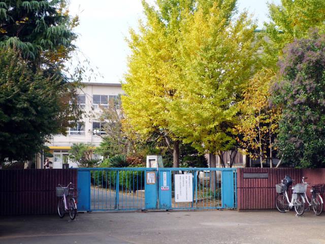 Primary school. 986m to Matsudo Municipal Kurigasawa Elementary School