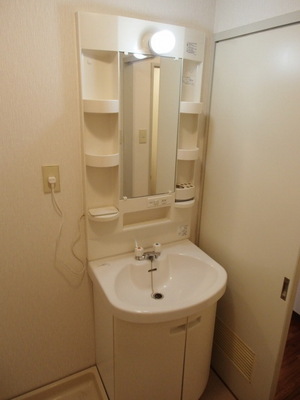 Washroom. Shampoo dresser