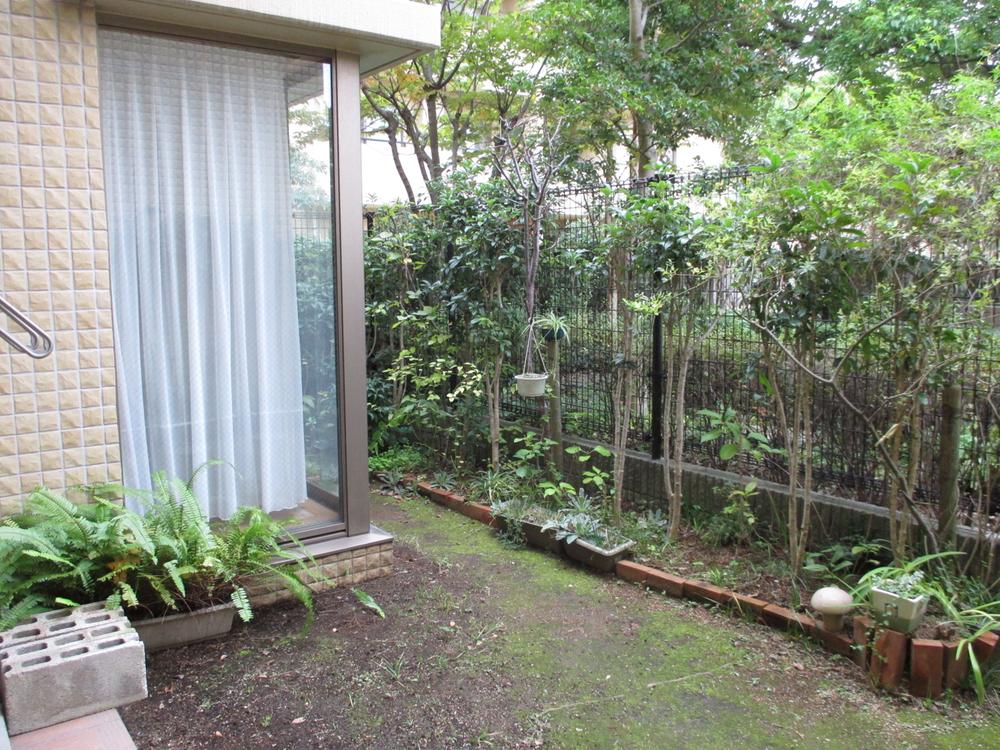 Garden. Private garden (2013 November shooting)