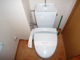 Toilet. Cleaning function with toilet seat! 