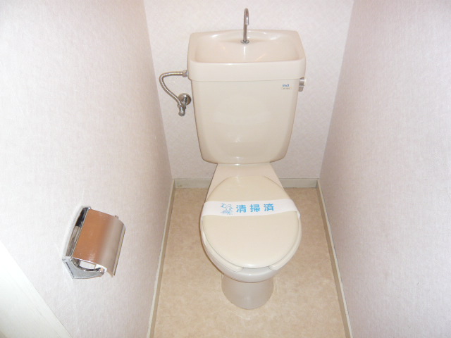 Toilet. Washed Standard WC