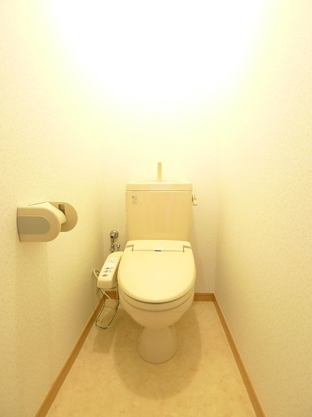 Toilet. Warm water washing heating toilet seat