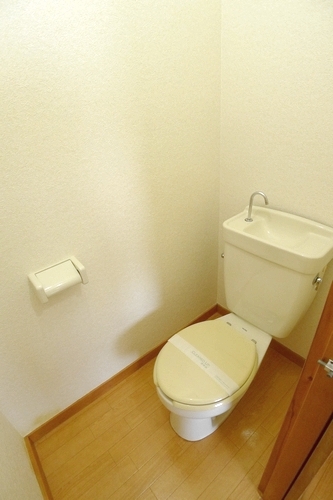 Toilet. It is a photograph of a different room (corner room).