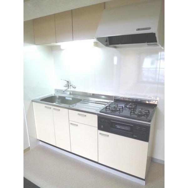 Kitchen. Kitchen new renovation