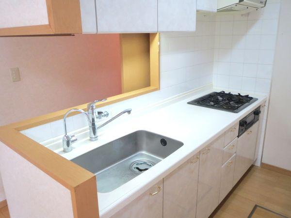 Kitchen. Indoor (July 2013) Shooting