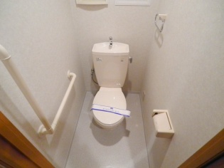 Toilet. Handrail with toilet