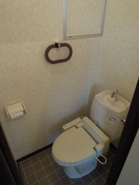 Toilet. Western style room