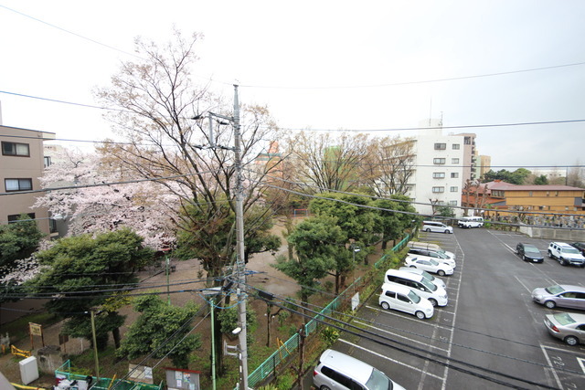 View. 405, Room The view from the veranda