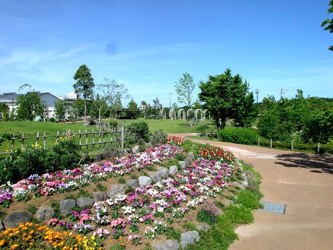 Other. Yui of flower park (about 500m)