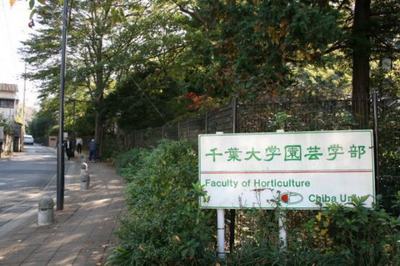 Other. 420m to Chiba University Faculty of Horticulture (Other)