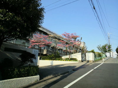 Junior high school. Negiuchi 268m until junior high school (junior high school)