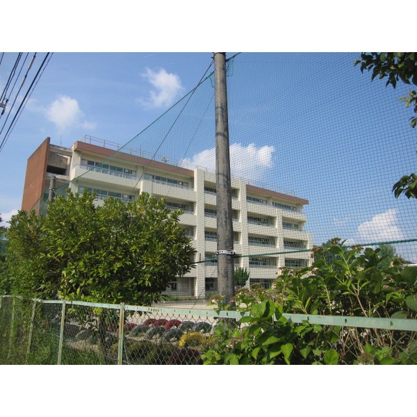 Primary school. 379m to Matsudo TatsuAsahi the town elementary school (elementary school)