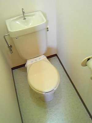 Toilet. Toilet