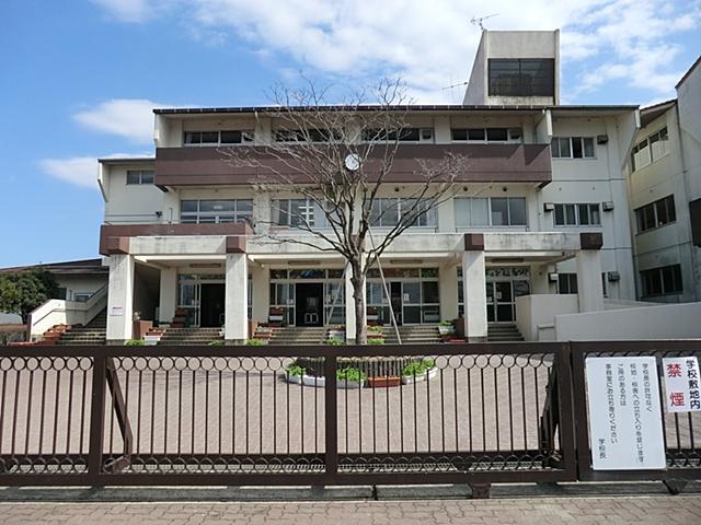 Primary school. Matsudo Municipal Matsudo Nishi Elementary School 1000m to