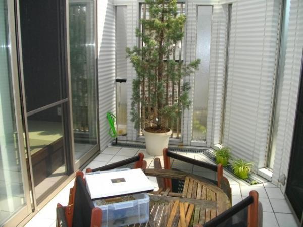 Other local. Sunny airy patio