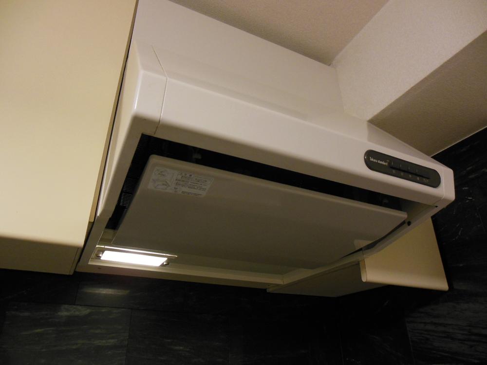 Kitchen. Indoor (11 May 2013) Shooting