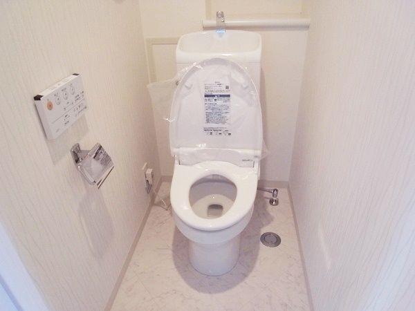Toilet. There is no upper floor