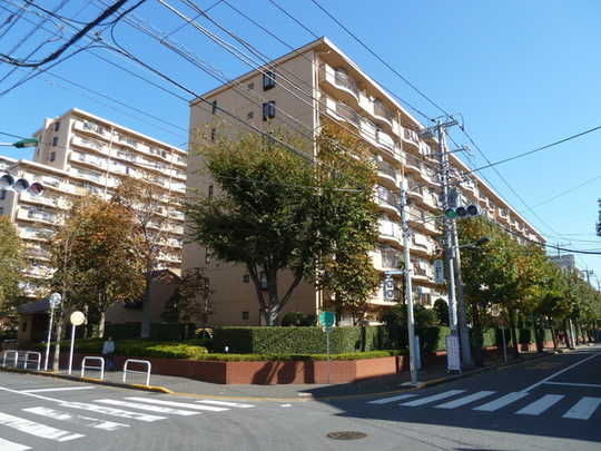 Local appearance photo