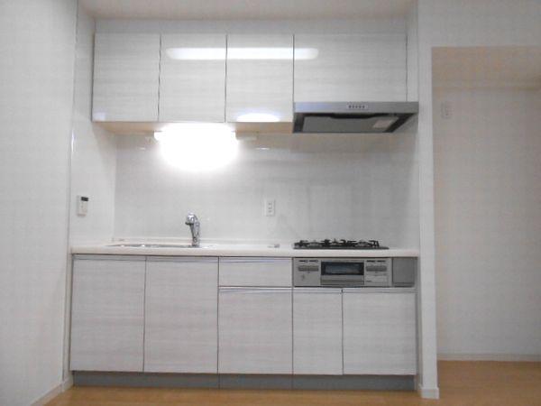 Kitchen. Indoor (September 2013) Shooting