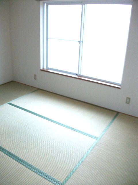 Other room space. Japanese style room