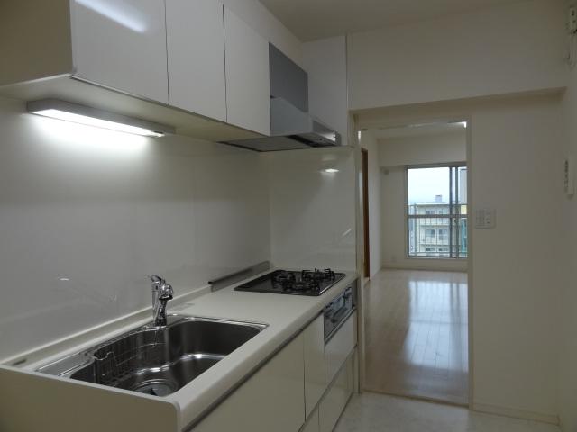 Kitchen. Indoor (11 May 2013) Shooting