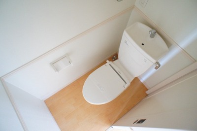 Toilet. Comfortable with heating toilet seat