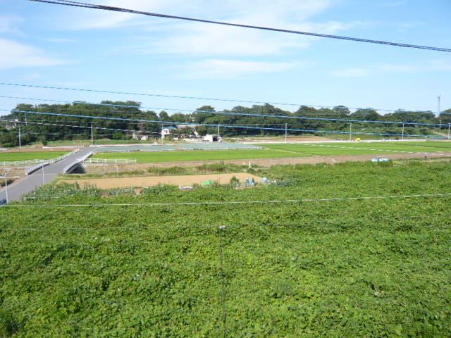 Local appearance photo. Local (July 2013) Shooting