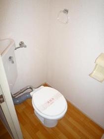 Toilet. It will be other, Room photo use image. 