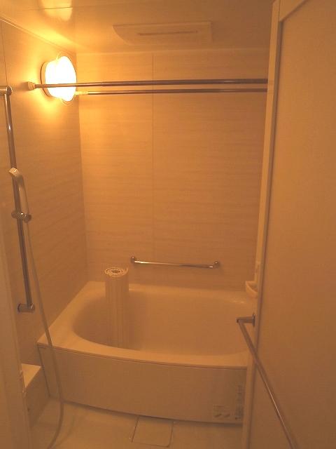 Bathroom. Indoor (10 May 2013) Shooting