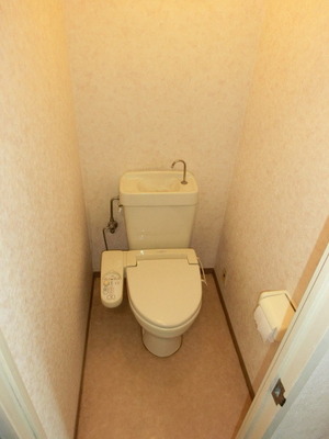 Toilet. Washlet has to offer