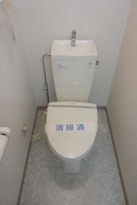 Toilet. It is a clean toilet.