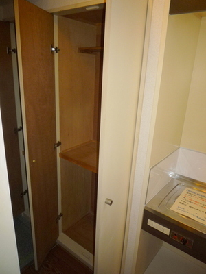 Other. There is also a closet storage