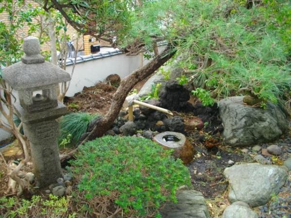 Garden. Garden of pure Japanese style with a lion threatened