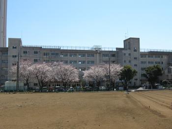 Junior high school. 1052m to Matsudo Municipal Wanagaya junior high school