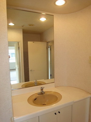Washroom. Large mirror independent wash basin