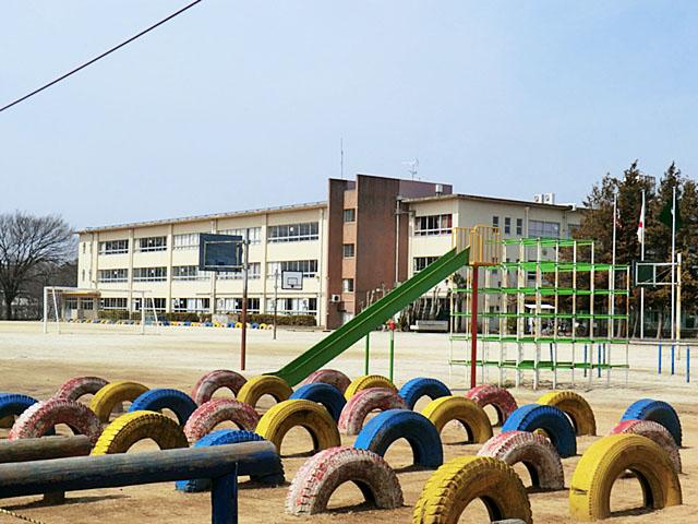 Primary school. Matsudo Municipal Kurigasawa 250m up to elementary school