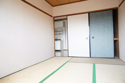 Living and room. Plenty of storage in the closet with a Japanese-style room