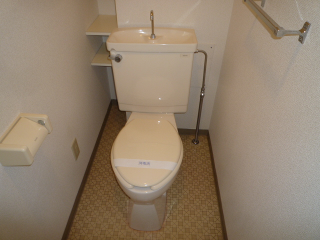 Toilet. Western style Standard type