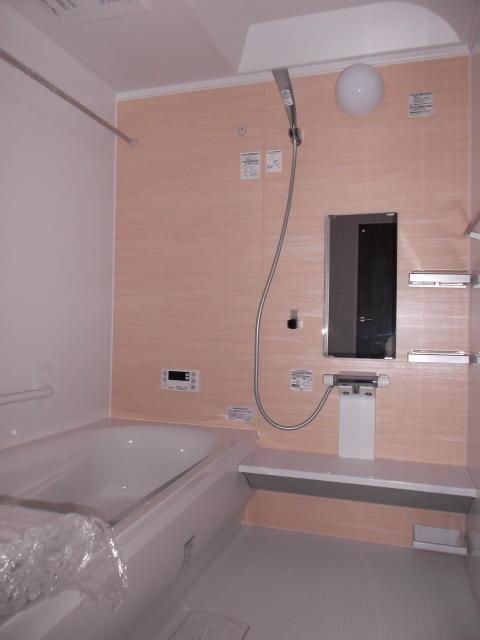 Bathroom. Local (September 2013) Shooting