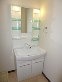 Washroom. Bathroom Vanity