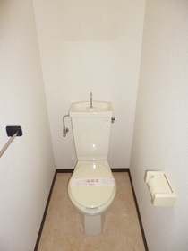 Toilet. Toilet