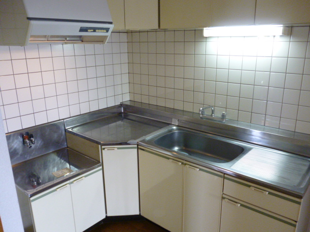 Kitchen. Popular L-shaped kitchen Two-burner stove installation Allowed