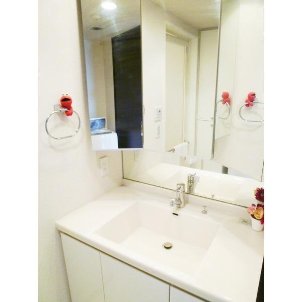 Wash basin, toilet. 3-surface mirror type