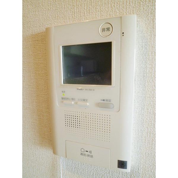 Other introspection. Monitor phone