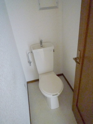 Toilet. Your toilet with a space