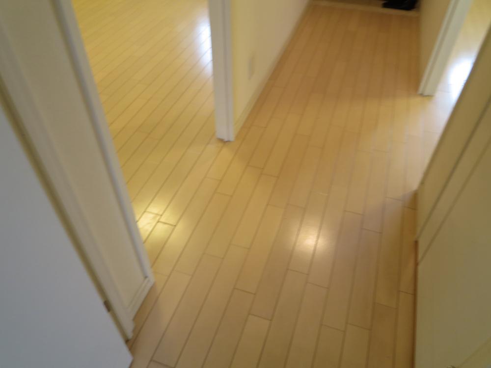 Other introspection. In rooms full flat, It is making no steps.