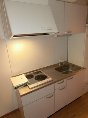 Kitchen. Two-burner kitchen room with a stove