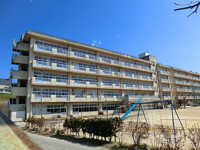 Primary school. Matsudo Municipal Tonohiraga 800m up to elementary school