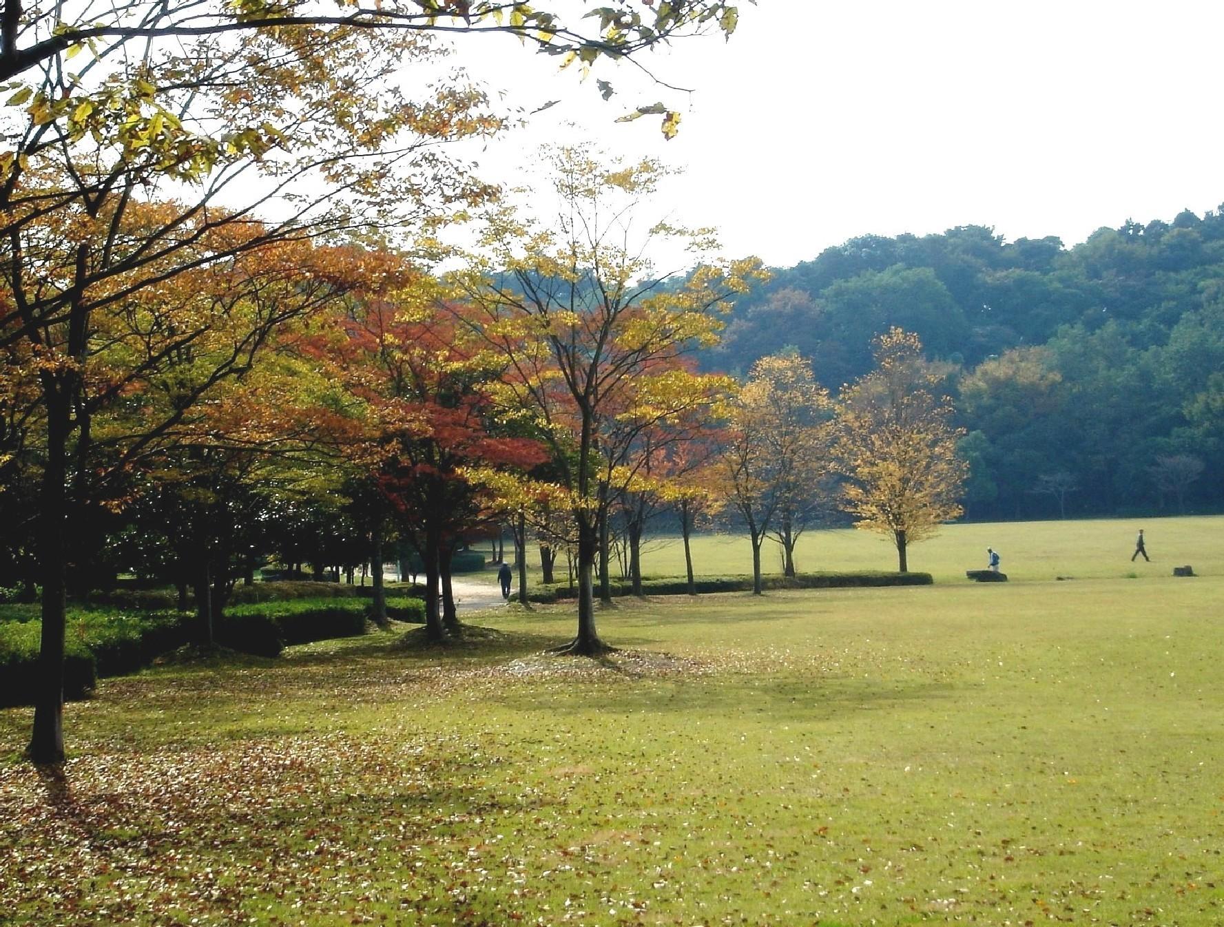 park. 1053m until the 21 century of forest and open space (park)