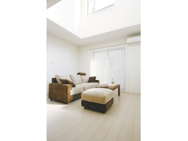 Other. Open in the living room top atrium